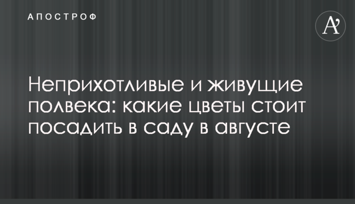 Невибагливі та живуть півсторіччя: які квіти варто посадити в саду в серпні