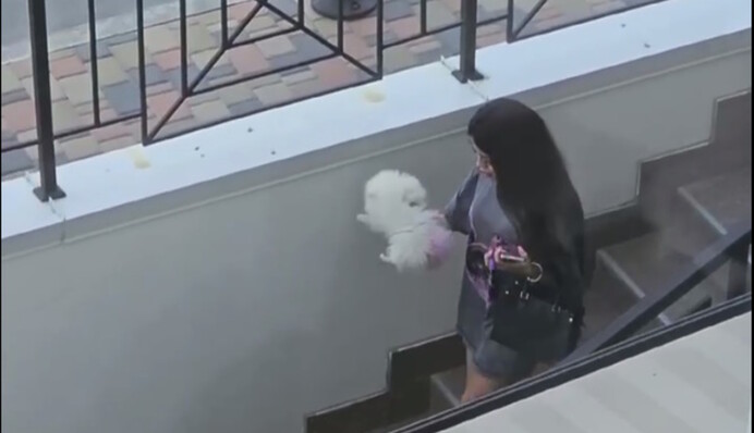 В Киеве неадекватная владелица издевалась над собачкой: история получила продолжение, видео