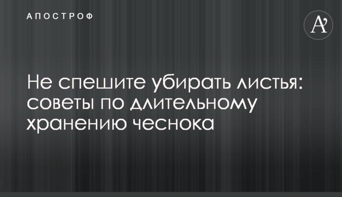 Не поспішайте прибирати листя: поради щодо тривалого зберігання часнику