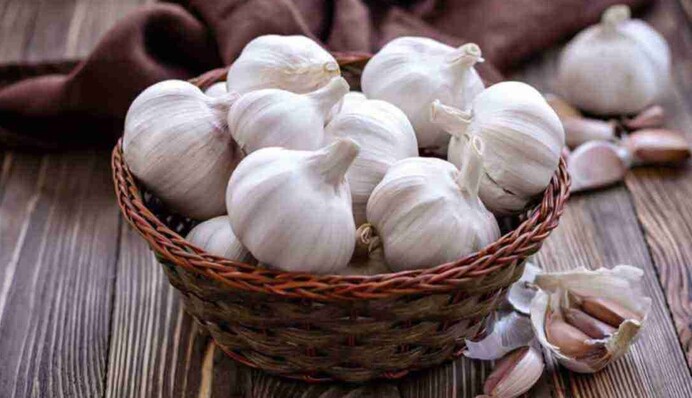 Як зберігати часник, щоб був свіжим до нового врожаю: поради досвідчених городників
