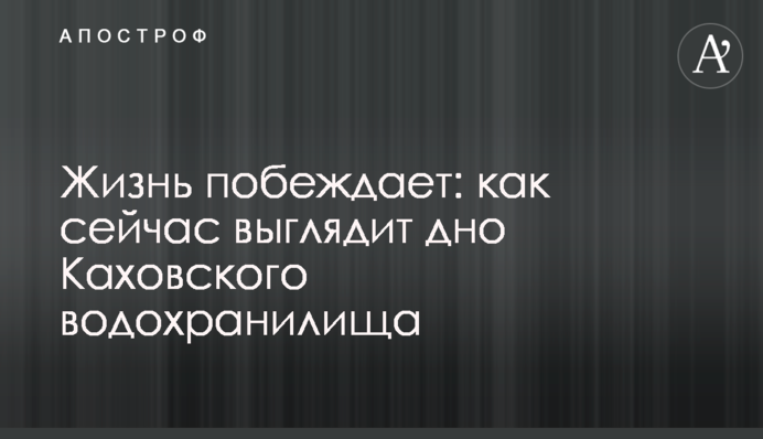 Життя перемагає: як зараз виглядає дно Каховського водосховища, відео
