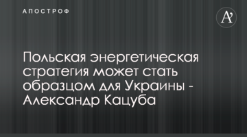 Польская энергетическая стратегия может стать образцом для Украины - Александр Кацуба