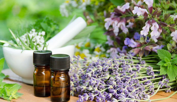 Поможет избавиться от мух: назван проверенный способ