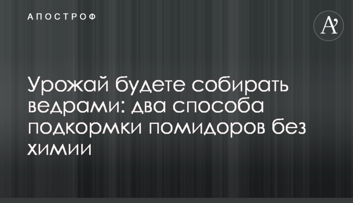 Урожай будете собирать ведрами: два способа подкормки помидоров без 