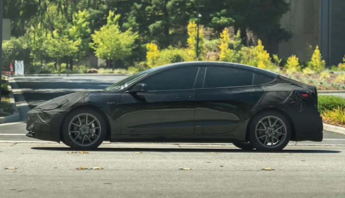 На дорогах заметили новую дешевую модель Tesla: фото и все детали