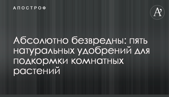 Абсолютно нешкідливі: п'ять натуральних добрив для підживлення кімнатних рослин