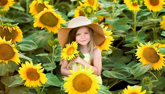 Львы достигнут целей, а у Дев будут новые возможности: гороскоп на 5 августа