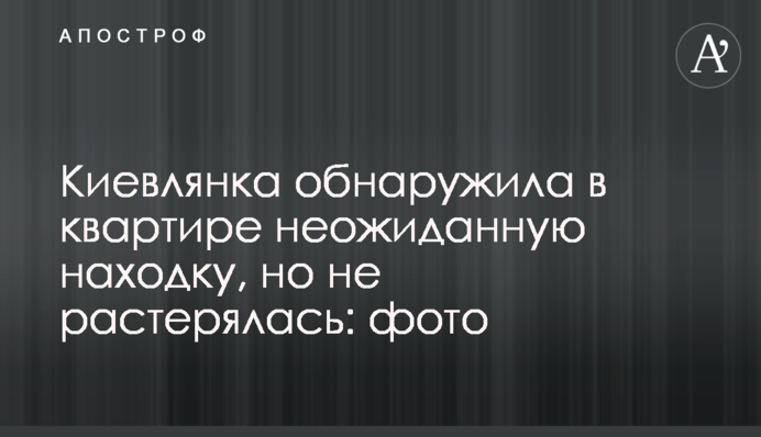 Киевлянка обнаружила в квартире неожиданную находку, но не растерялась: фото