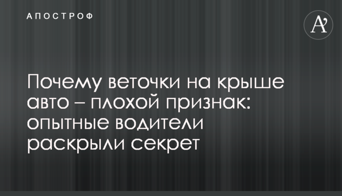 Почему веточки на крыше авто – плохой признак: опытные водители раскрыли секрет
