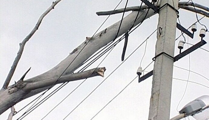 На Київщину обрушилася негода: знеструмлено понад 10 населених пунктів