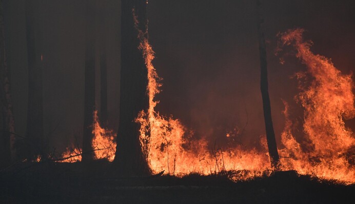 Шкода звірів і природу: Якутію в РФ охопили масштабні пожежі, відео