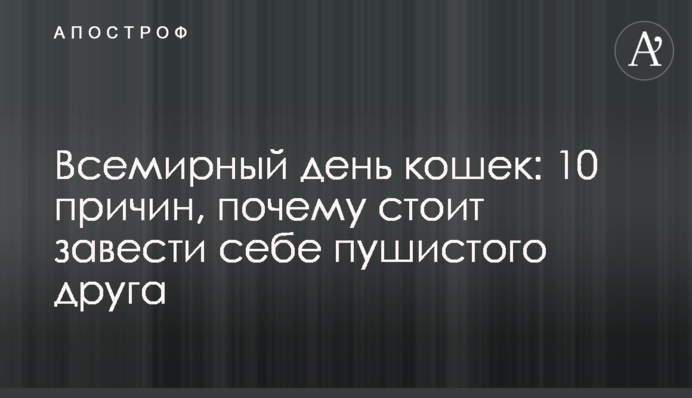 Всесвітній день кішок: 10 причин, чому варто завести собі пухнастого друга