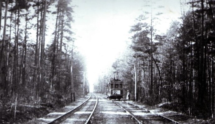 Здесь бывали Шевченко, Гоголь и Леся Украинка: в сети показали архивные фото Пущи-Водицы в Киеве