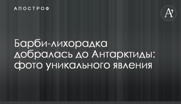 Барби-лихорадка добралась до Антарктиды: фото уникального явления