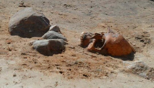 В Польщі знайшли моторошне поховання дитини-