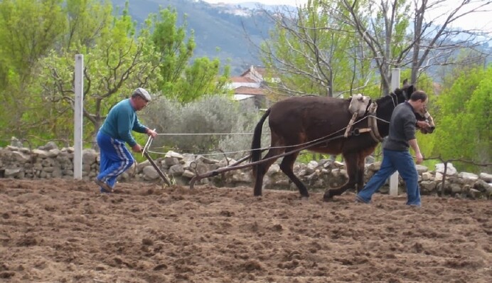 Украинец дал необычное объяснение отказа от мобилизации: как его наказал суд