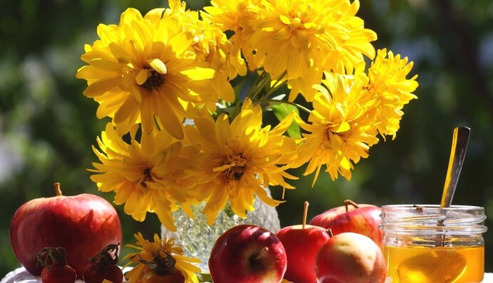 Терезів чекає активний день, а Рибам варто подумати про фінанси: гороскоп на 12 серпня