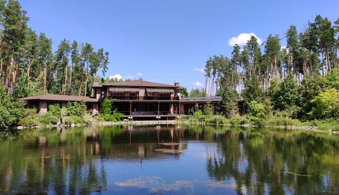 Бракує золотого унітазу: СБУ показала маєток Симоненка, фото