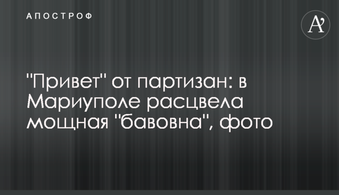 "Привіт" від партизанів:  в Маріуполі розквітла потужна "бавовна", фото