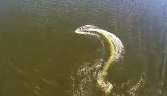 Маневрирование не помогло: ССО показали эффектные кадры уничтожения катера FPV-дроном