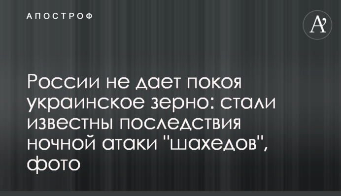 Росії не дає спокою українське зерно: стали відомі наслідки нічної атаки "шахедів", фото