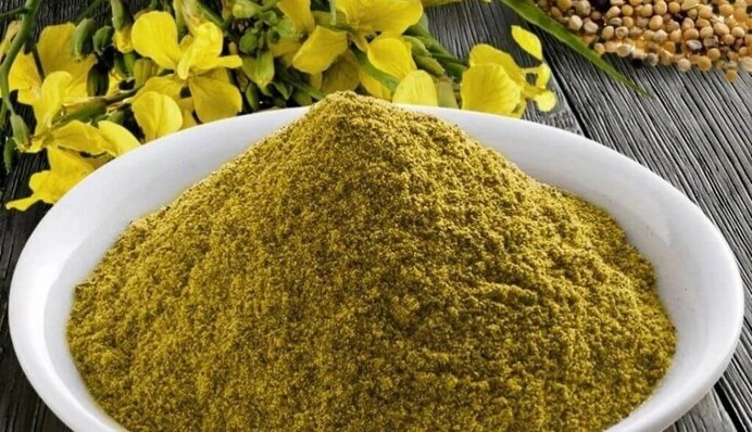 Об этом мало кто знает: обычная горчица спасет от семи бед на огороде