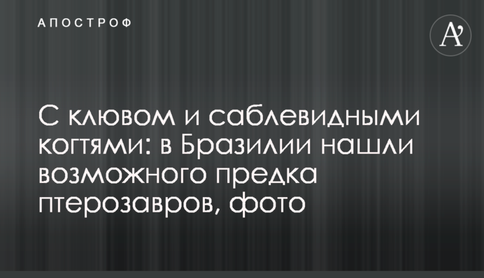 С клювом и саблевидными когтями: в Бразилии нашли возможного предка птерозавров, фото