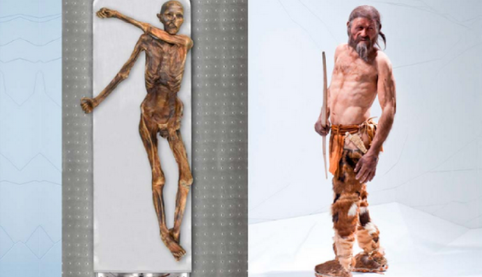 Раскрыта еще одна тайна Ледяного человека Этци: стало сюрпризом для ученых, фото и видео