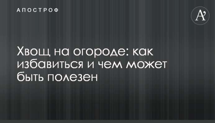 Хвощ на городі: як позбутися і чим може бути корисний