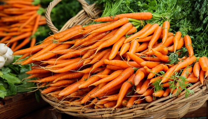 У вересні буде чудовий урожай: п'ять порад як швидко виростити моркву