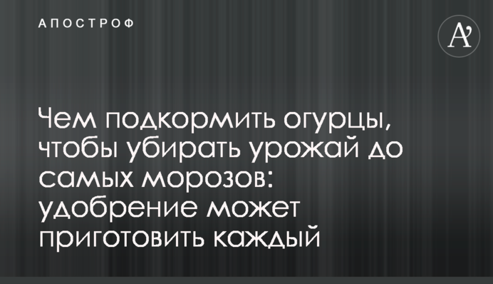 Чем подкормить огурцы, чтобы убирать урожай до самых морозов: удобрение может приготовить каждый