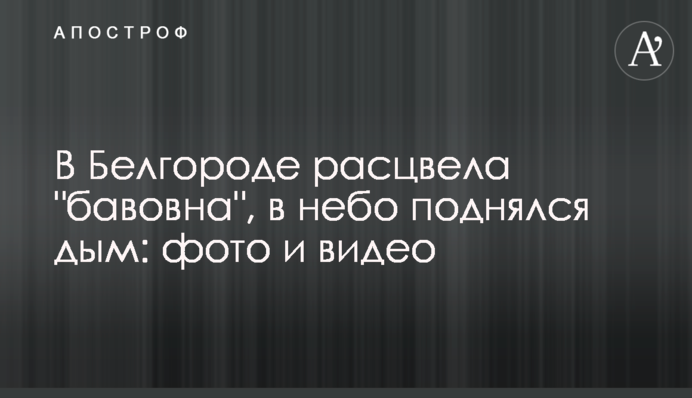 В Бєлгороді розквітла 