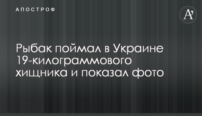 Рыбак поймал в Украине 19-килограммового хищника и показал фото