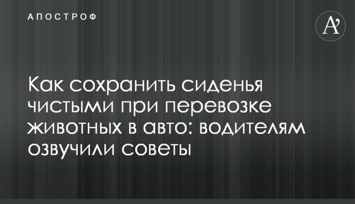 Як зберегти сидіння чистими при перевезенні тварин у авто: водіям озвучили поради