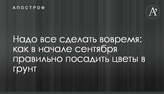 Треба все зробити вчасно: як в початку вересня правильно посадити квіти у ґрунт