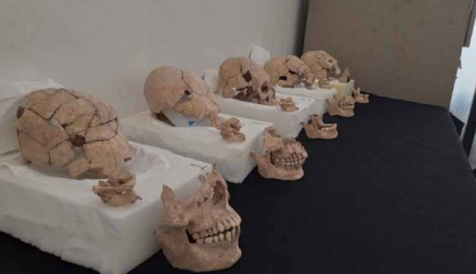 Стали жертвами ритуала майя: в Мексике нашли останки людей со странной формой черепов, фото