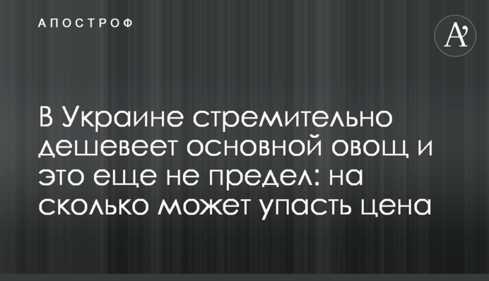 В Украине стремительно дешевеет основной овощ и это еще не предел: на сколько может упасть цена