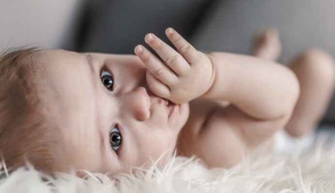 Не все имеют право: в ПФУ объяснили, что не влияет на сумму субсидии