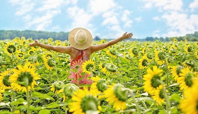 З останнім днем літа! Найкращі листівки та вірші