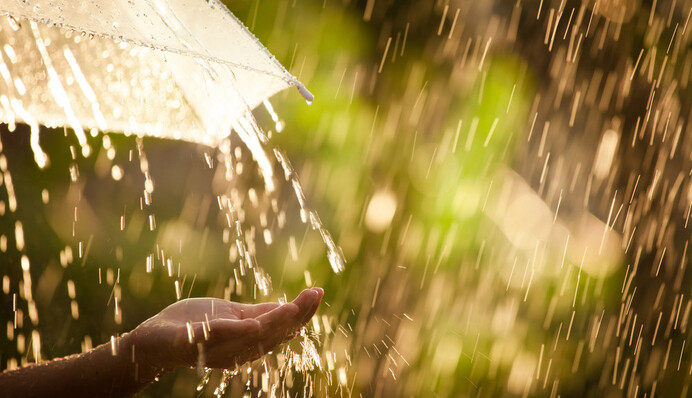 Лето напоследок заплачет дождями и грозами: что ждать от погоды в последний день августа