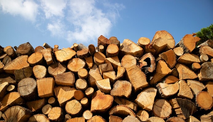 Субсидії на опалювальний сезон: як оформити пільги на дрова та вугілля