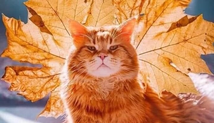 Частину України накриють дощі з грозами: прогноз на неділю