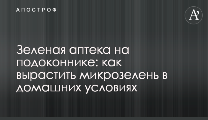 Зелена аптека на підвіконні: як виростити мікрозелень в домашніх умовах
