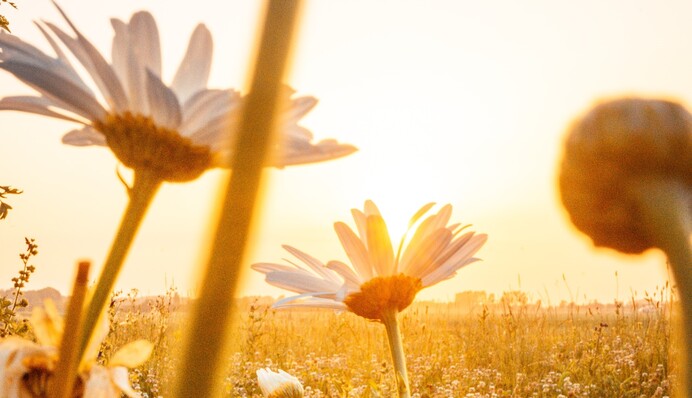 Місцями дощитиме, а десь буде до +29: прогноз погоди в Україні на 3 вересня