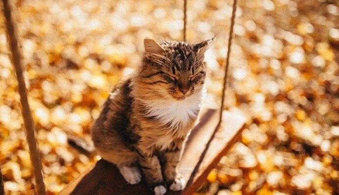 Olenka розжене дощі в Україні: синоптикиня дала прогноз на вівторок