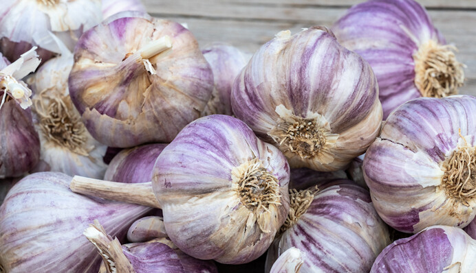 Как хранить чеснок, чтобы был сочным до следующего урожая: советы опытных огородников
