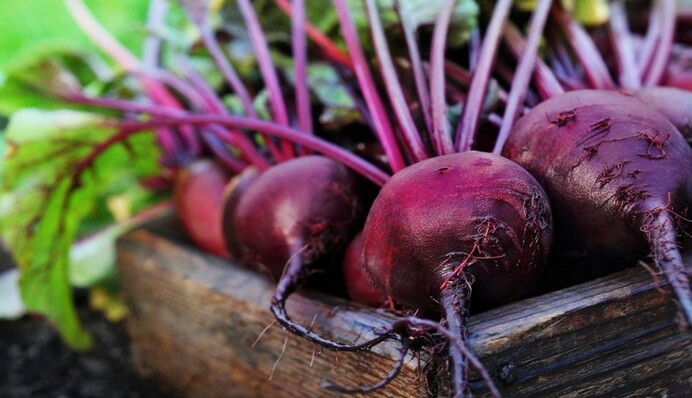 Хранение свеклы зимой: лайфхак, который не даст овощам испортиться
