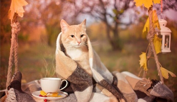 Будьте готовы к негативу: в октябре у трех знаков Зодиака начнется 