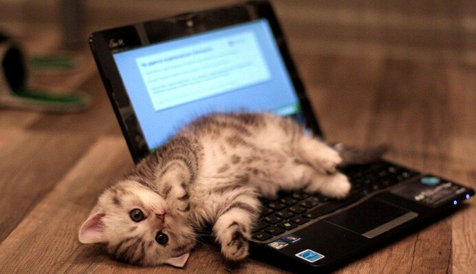 Львам следует сосредоточиться на работе, а Девам подумать о финансах: гороскоп на 9 сентября