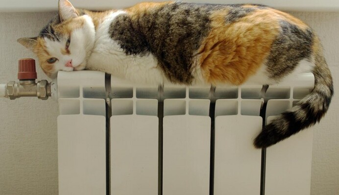 Ночь будет холодной по-зимнему: что ждать от погоды в воскресенье, карта